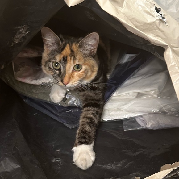 Meet your Posher, Jenavieveparry - Picture 2 of 3